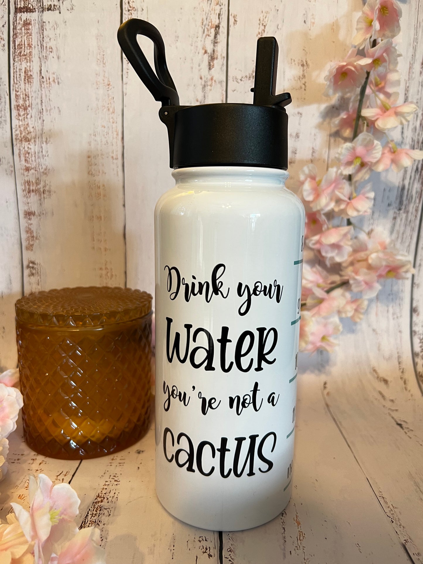 You're not a Cactus 32 oz Insulated Water Bottle with Hydro Lid