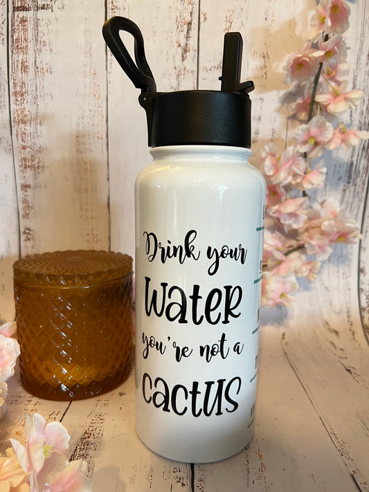 You're not a Cactus 32 oz Insulated Water Bottle with Hydro Lid